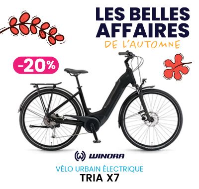Automne Tria X
